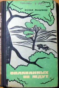 ОПЛАКАННЫХ НЕ ЖДУТ  (Роман)