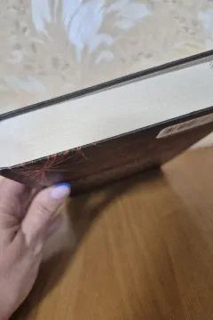 Дівчина у павутинні