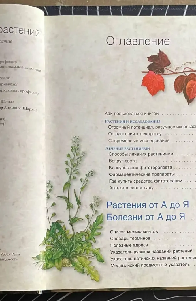 Энциклопедия лекарственных растений