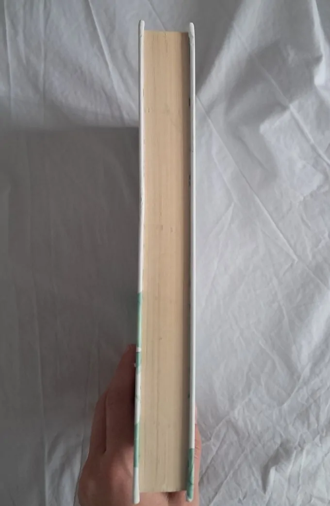 Stacey Solomon Tap To Tidy