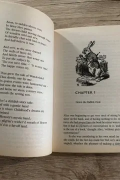 Alice's Adventures in Wonderland