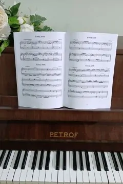 Little star. 100 етюдів для маленьких піаністів