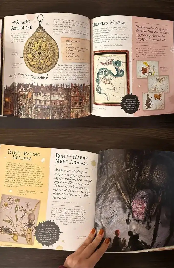 Harry Potter: A Journey Through a History of Magic