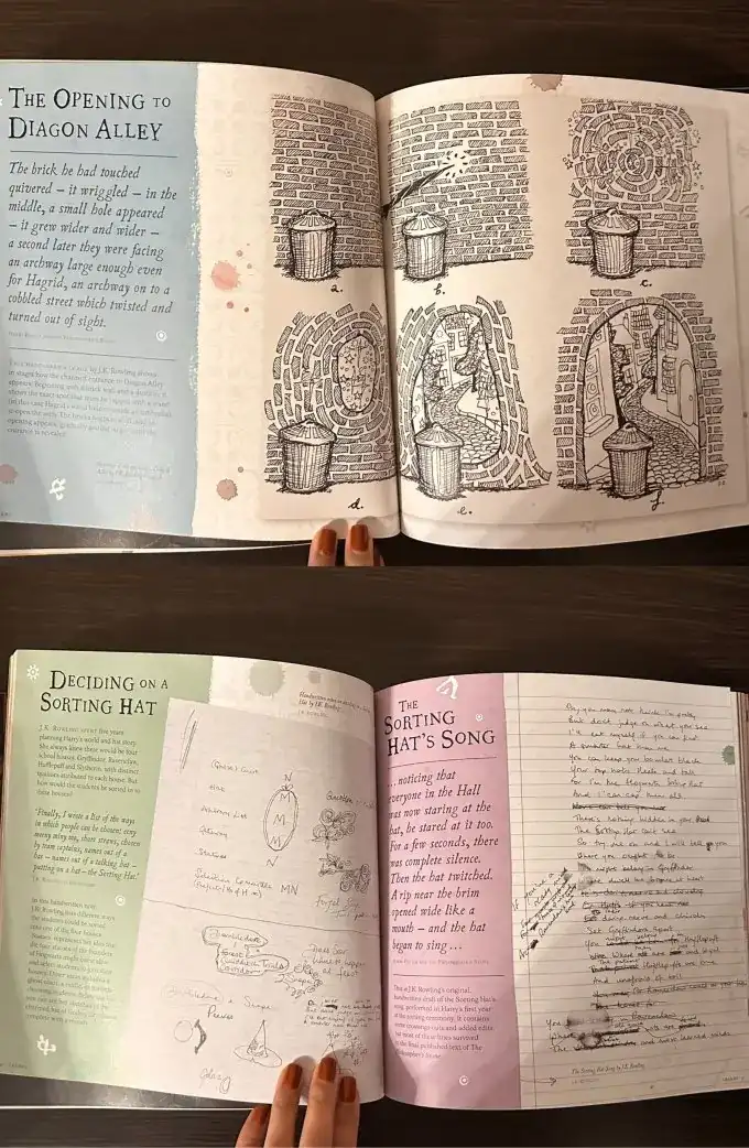 Harry Potter: A Journey Through a History of Magic