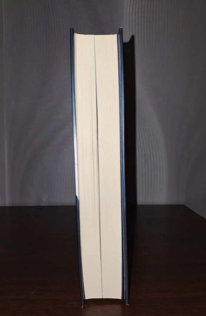 Чорний ворон. Залишенець