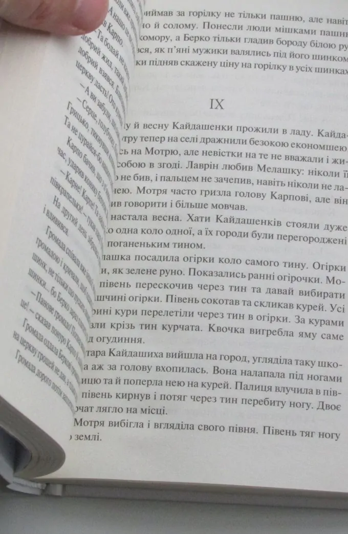 Кайдашева сім'я