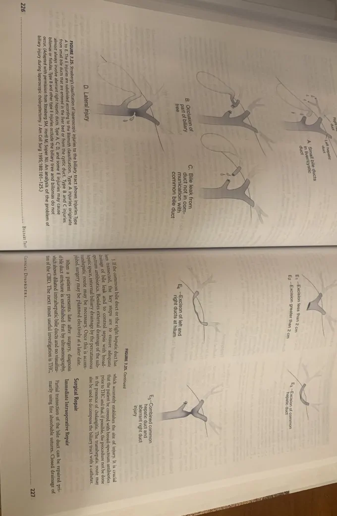 Gastrointestinal Surgery. Pathophysiology and Management