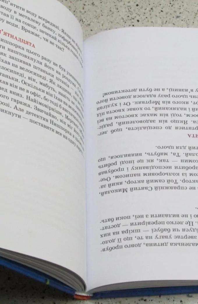 Знайомтесь: детектив Нишпорка. Нові клопоти детектива Нишпорки