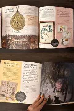 Harry Potter: A Journey Through a History of Magic