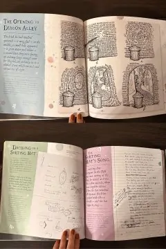 Harry Potter: A Journey Through a History of Magic