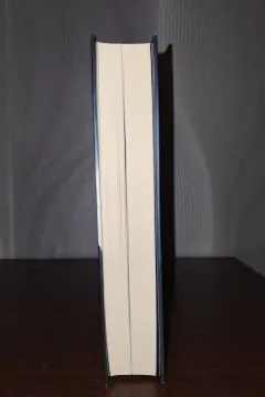 Чорний ворон. Залишенець