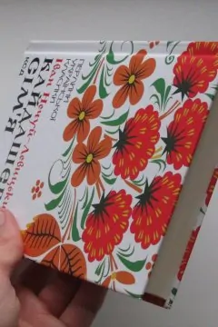 Кайдашева сім'я