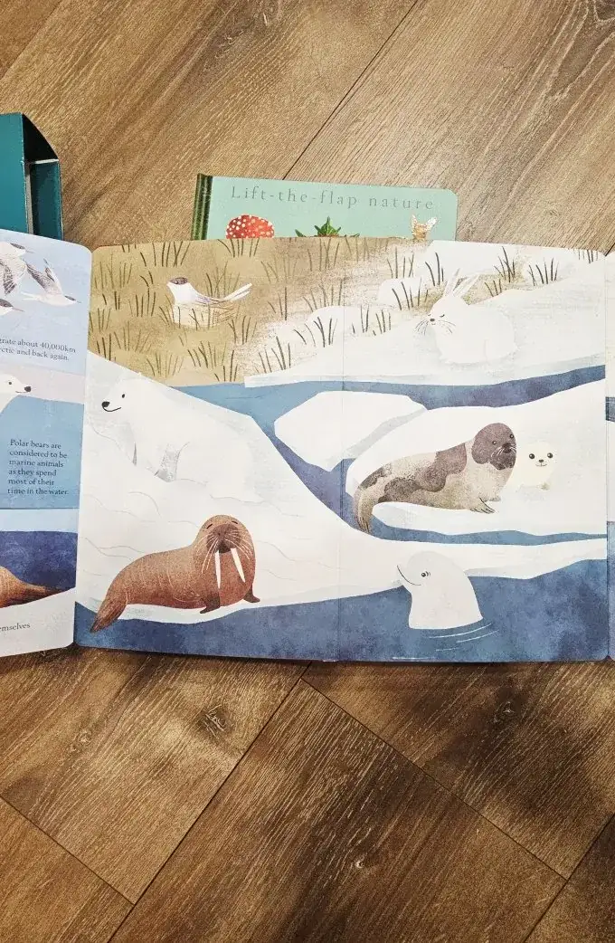 Hidden world. Habitats (3 книги)