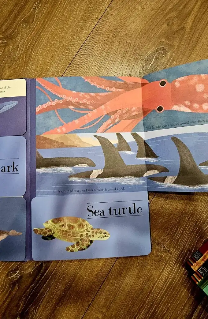 Hidden world. Habitats (3 книги)