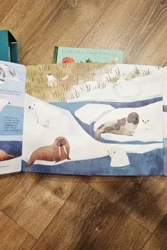 Hidden world. Habitats (3 книги)