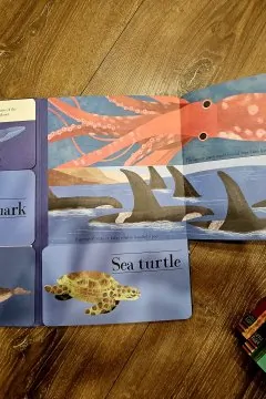 Hidden world. Habitats (3 книги)