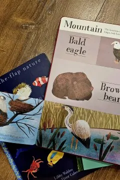 Hidden world. Habitats (3 книги)