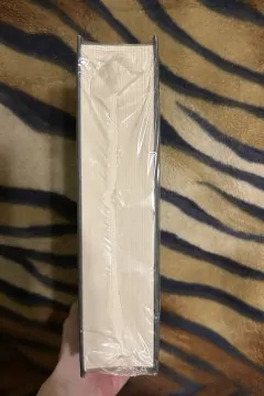 Джонатан Стрейндж та містер Норрелл