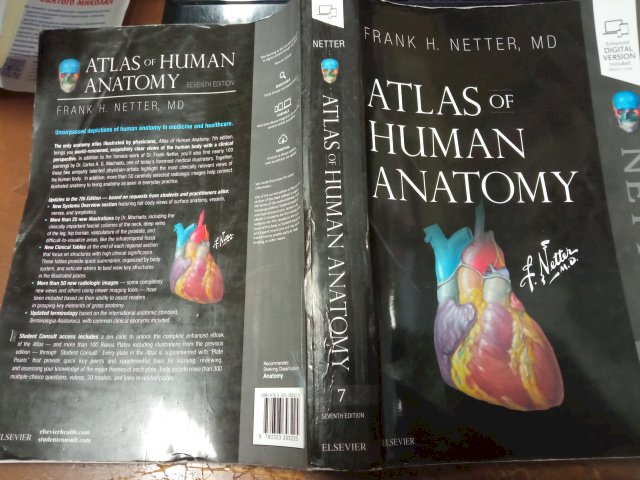 Atlas of Human Anatomy 7th ed. 