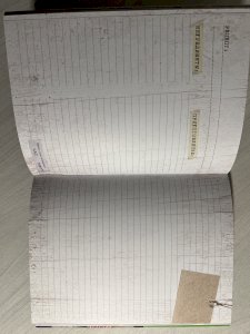 Книга для записи рецептов : Новогодняя и рождественская выпечка