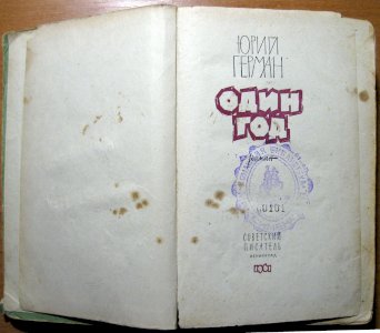 Один год (роман)