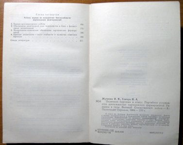 Поднимая партизан в атаку