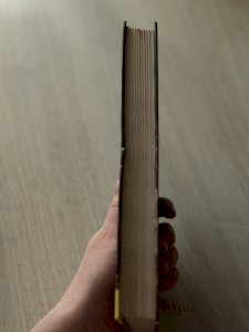 Гнев Нефертити