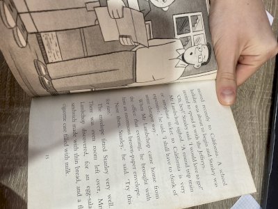 Flat Stanley