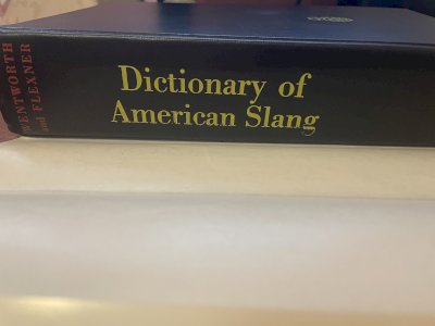 Dictionary of American Slang