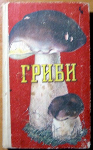 Гриби (Їстівні, умовно їстівні, неїстівні, отруйні) 