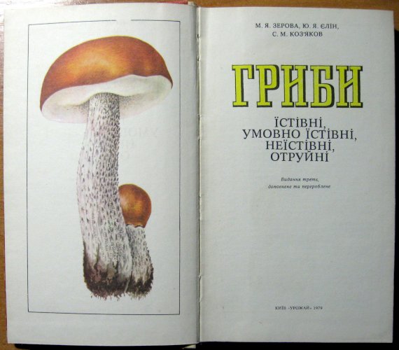 Гриби (Їстівні, умовно їстівні, неїстівні, отруйні) 