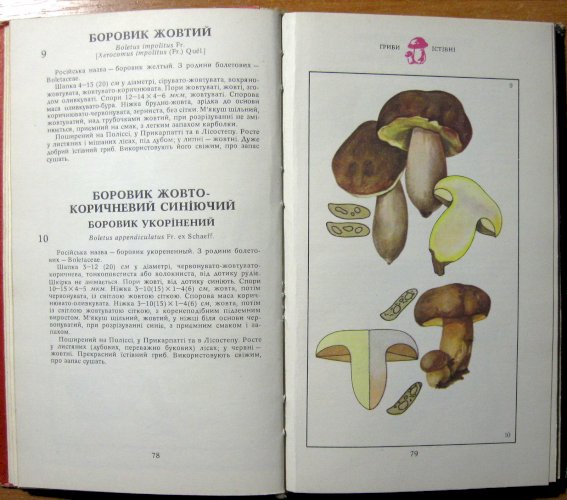 Гриби (Їстівні, умовно їстівні, неїстівні, отруйні) 