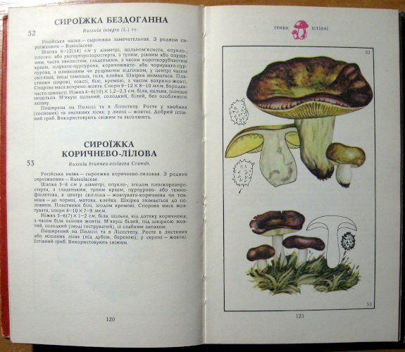 Гриби (Їстівні, умовно їстівні, неїстівні, отруйні) 