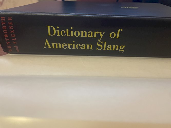 Dictionary of American Slang
