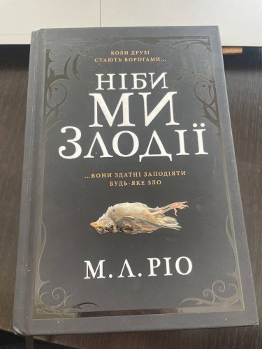 Ніби ми злодії