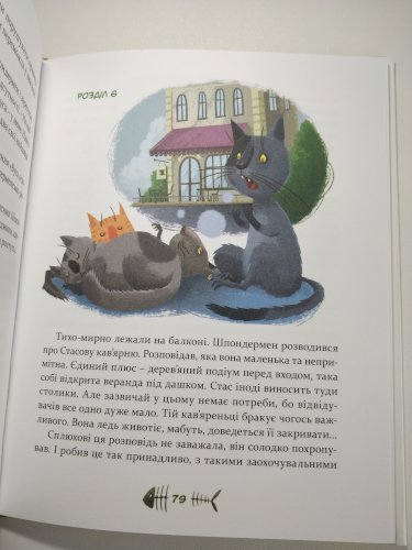 36 і 6 котів 