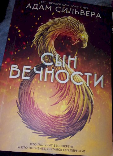 Сын вечности 